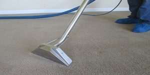 best north carolina carpet cleaners