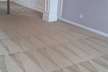 Cleaning carpets in Davidson, NC